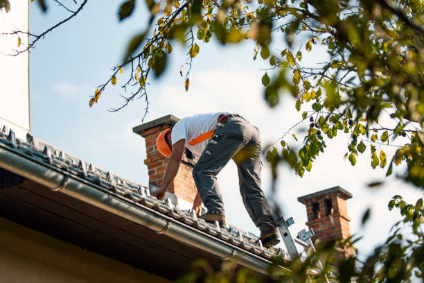 Best Local Roofing Companies  in College Place, WA