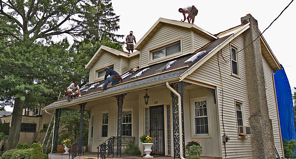 Roof Gutter Cleaning in College Place, WA