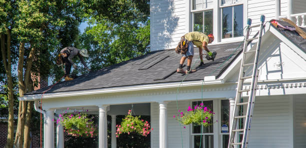 Best Roof Gutter Cleaning  in College Place, WA