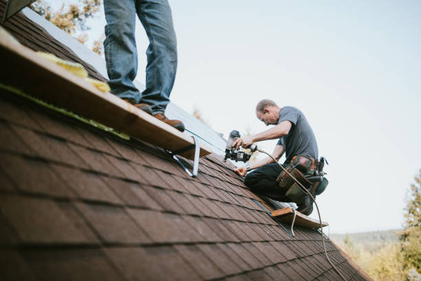 Best Roof Gutter Cleaning  in College Place, WA