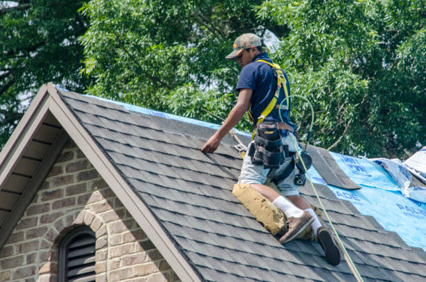 Best Storm Damage Roof Repair  in College Place, WA